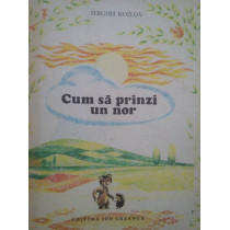 Cum sa prinzi un nor