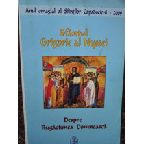 Despre Rugaciunea Domneasca