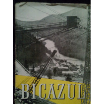 Bicazul vol. I