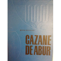 Cazane de abur