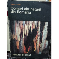 Comori ale naturii din Romania