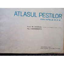Atlasul pestilor din apele R. P. R.