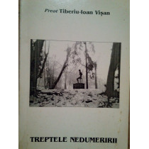 Treptele nedumeririi
