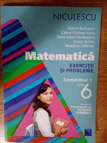 Matematica exercitii si probleme clasa a VIa, semestrul I