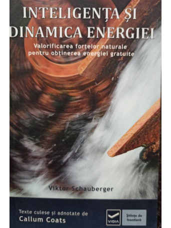 Inteligenta si dinamica energiei