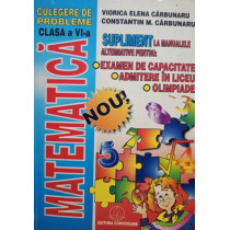 Matematica - Culegere de probleme clasa a VIa