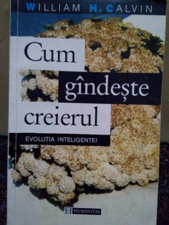 Cum gandeste creierul, evolutia inteligentei